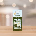Stargazer Car Air Freshener